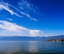 包含云南男篮耀眼表现，展现团结拼搏，勇往直前的词条